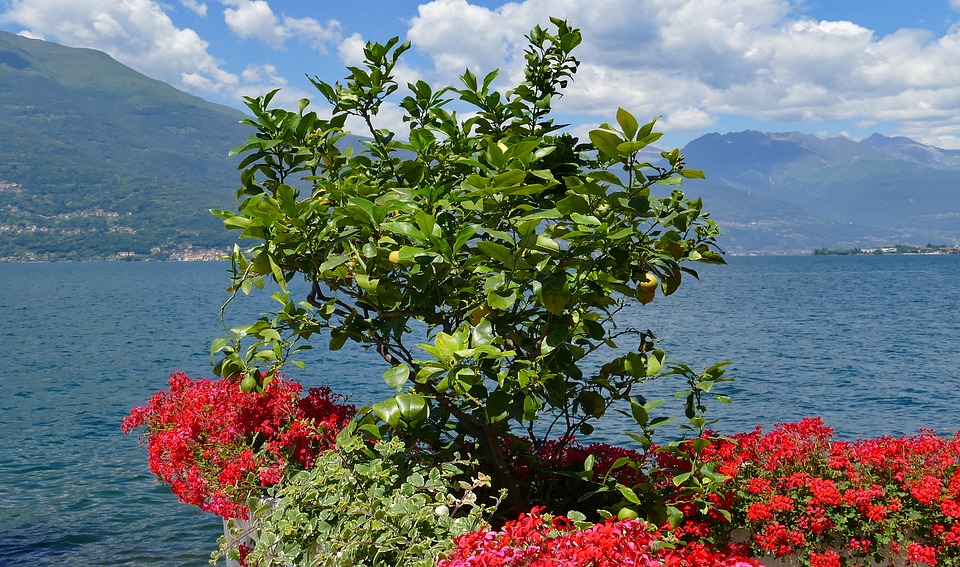 Ruhige Landschaft